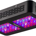 300w led